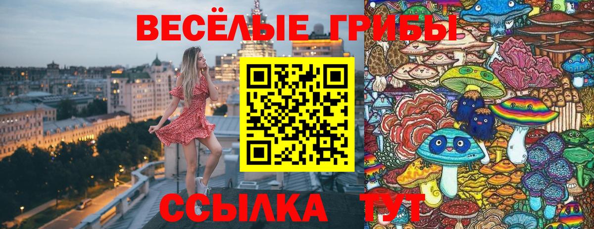 Псилоцибиновые грибы Psilocybine cubensis  Галлюциногенные грибы MAGIC MUSHROOMS  Вход с VPN  Киров 