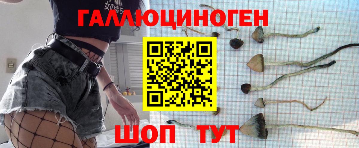 Галлюциногенные грибы прущие грибы Киров